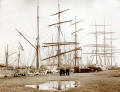 Unloading Vessels at Leith Docks  -  1906