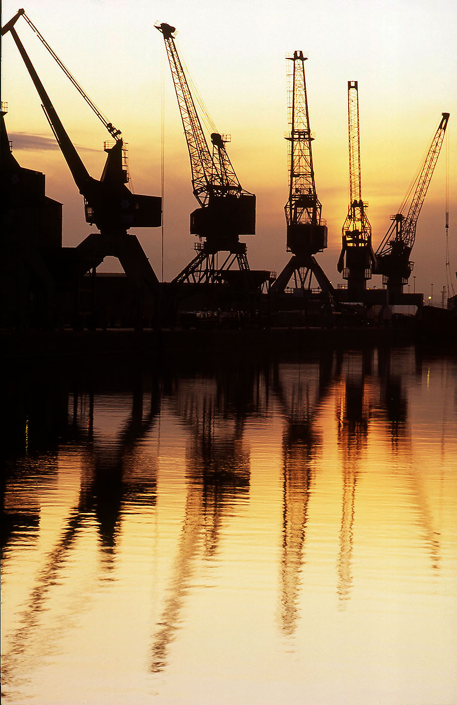 Leith Docks  -  Cranes