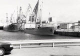 Anne Sabine at the SAI Fertiliser Berth  -  15 May 1989