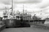 Leith Docks  -  Orcadia  -  Ferry and Livestock Carrier  -  26 Sep 1993