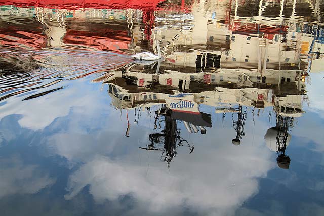 Reflections of the ship 'Wellservicer', and a swan, at Prince of Wales Dock, Leith, 2011
