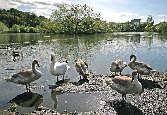 Lochend Park  -  September 2009