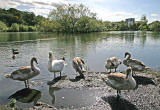 Lochend Park  -  September 2009