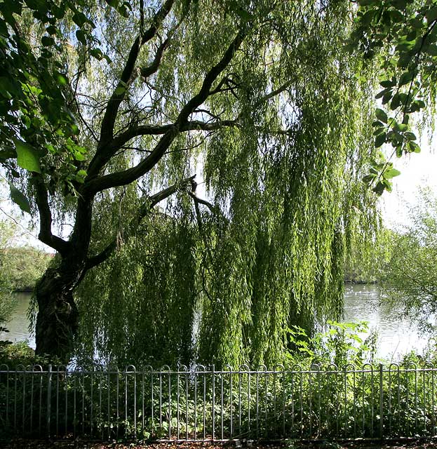 Lochend Park  -  September 2009