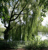 Lochend Park - September 2009