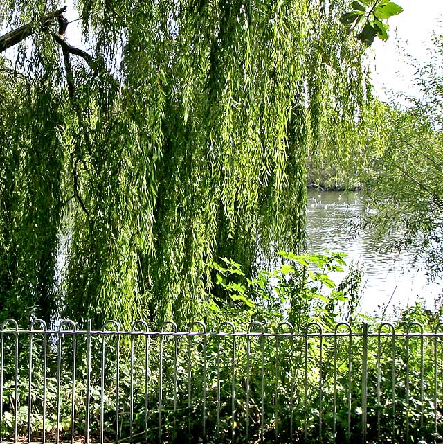 Lochend Park  -  September 2009