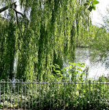 Lochend Park - September 2009