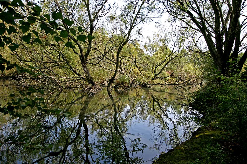 Lochend Park  -  September 2009