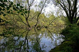 Lochend Park - September 2009