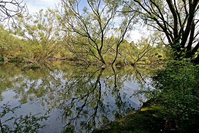 Lochend Park  -  September 2009