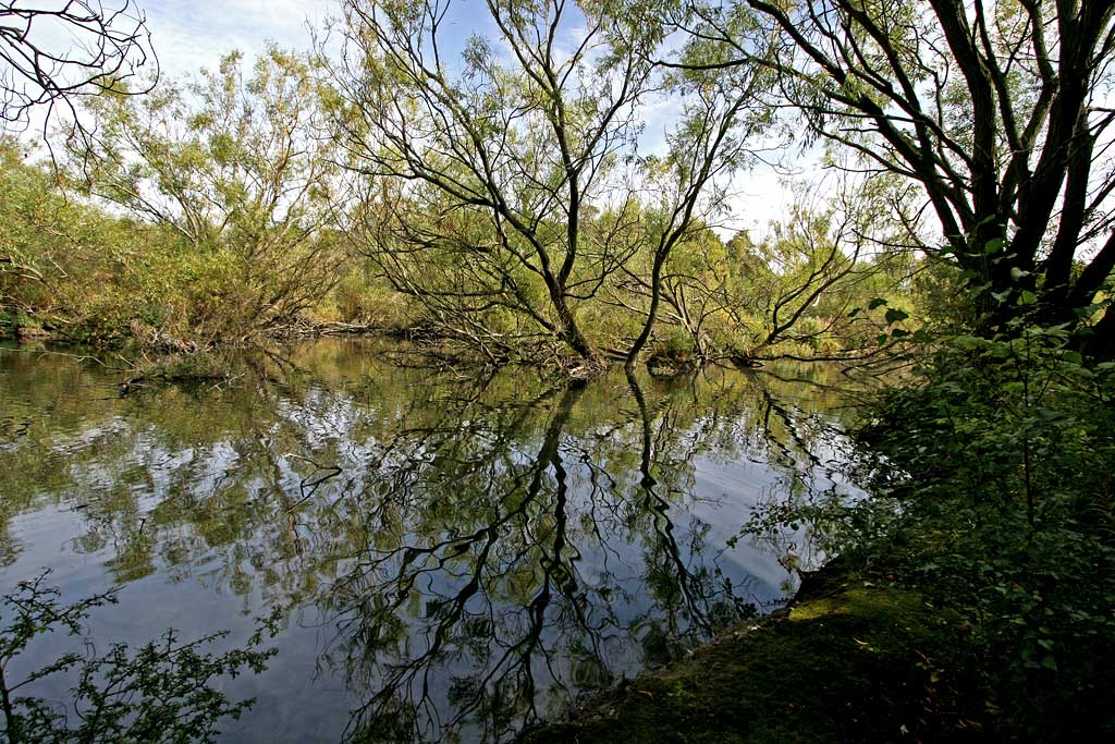 Lochend Park  -  September 2009