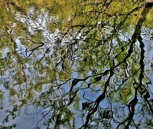 Lochend Park  -  September 2009