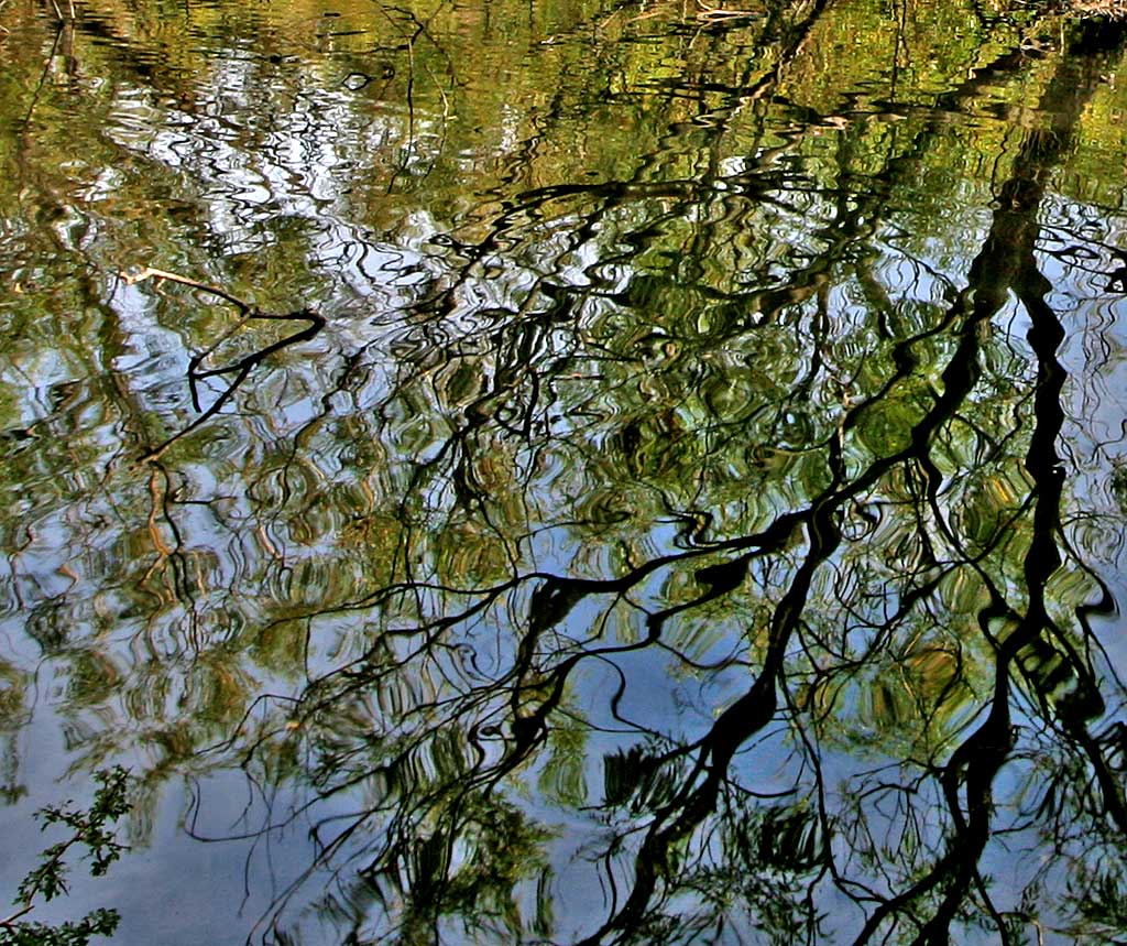 Lochend Park  -  September 2009