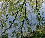 Lochend Park  -  September 2009