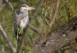 Lochend Park - September 2009