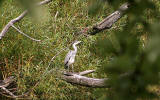 Lochend Park - September 2009