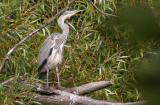 Lochend Park - September 2009