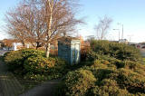 Police Box almost hidden in the bushes beside Glasgow Road, west of Maybury Junction