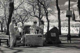 Infrared photo  -  Free Lemonade in The Meadows