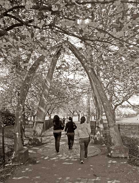 Edinburgh Meadows