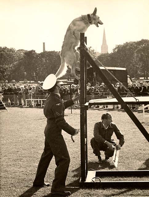 RAF Display at The Meadows, Edinburgh -  1965