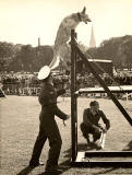 RAF Display  -  The Meadows, 1965