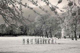 Infrared photo  -  Training in The Meadows