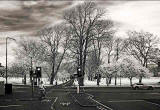 InfraRed photo   -  Looking from Marchmont Road, across Melville Drive to TRhe Meadows