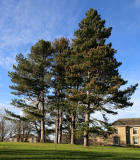 The Grounds of Merchiston Castle School, Colinton, Edinburgh  -  2013