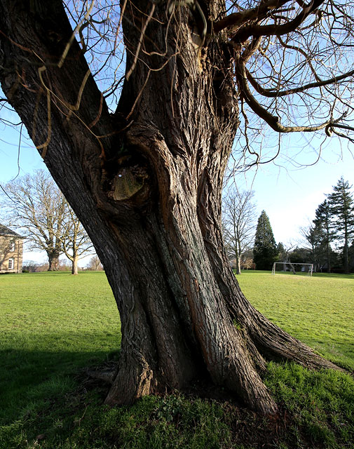 The Grounds of Merchiston Castle School, Colinton, Edinburgh  -  2013