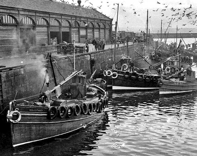 LH28 "Gratitude" unloading herring  at the eastern side of Newhaven Fishmarket