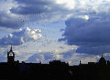 Edinburgh Old Town and Balloons in the Sky  -  1986