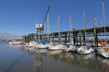 Port Edgar Marina  -  August 2010