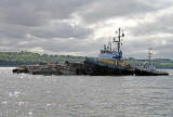 Port Edgar Marina  -  August 2010