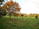 Portobello Golf Course Community Woodland notice  -  October 2007