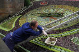 Princes Street Gardens, Floral Clock, 2012