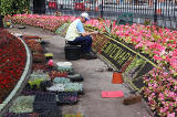 Princes Street Gardens, Floral Clock, 2013