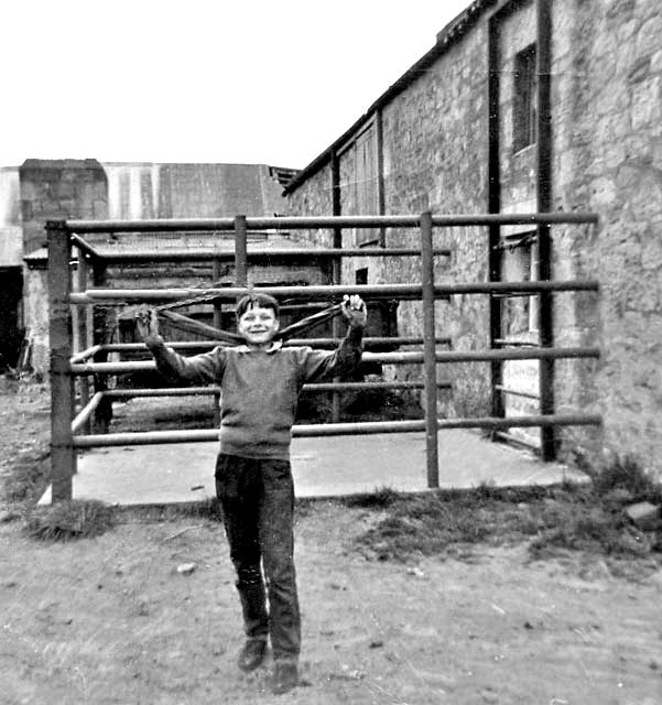 Robin at Pringle's Farm, Polton