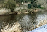 Puddockie  on the Water of Leith at Warriston  -  Looking to the NE across the water towards Warriston Cemetery from Warriston Road  -  2011