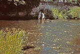 Puddockie  on the Water of Leith at Warriston  -  Looking to the NE across the water towards Warriston Cemetery from Warriston Road  -  1956/57