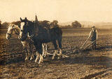 Ploughing at Ratho