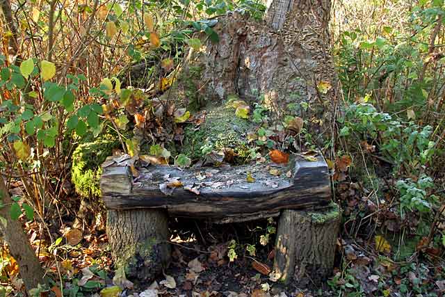 Roslin Glen  -  Vlley of the North Esk River  -  about seven miles south of the centre of Edinburgh  November 2005