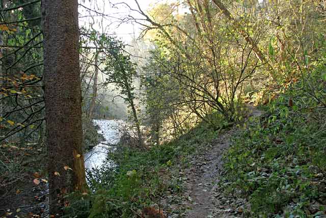Roslin Glen  -  Vlley of the North Esk River  -  about seven miles south of the centre of Edinburgh  November 2005