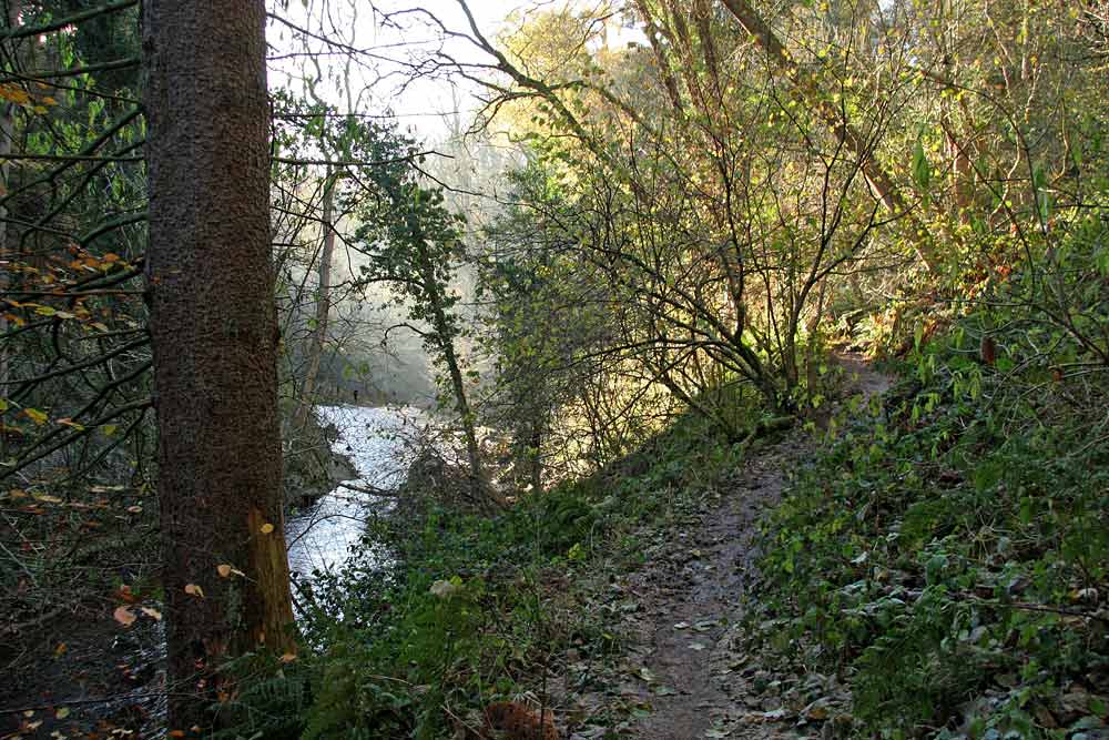 Roslin Glen  -  Vlley of the North Esk River  -  about seven miles south of the centre of Edinburgh  November 2005