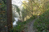 Roslin Glen  -  Vlley of the North Esk River  -  about seven miles south of the centre of Edinburgh  November 2005