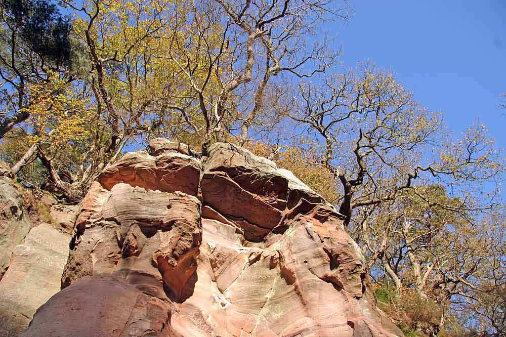 Roslin Glen  -  Vlley of the North Esk River  -  about seven miles south of the centre of Edinburgh  November 2005