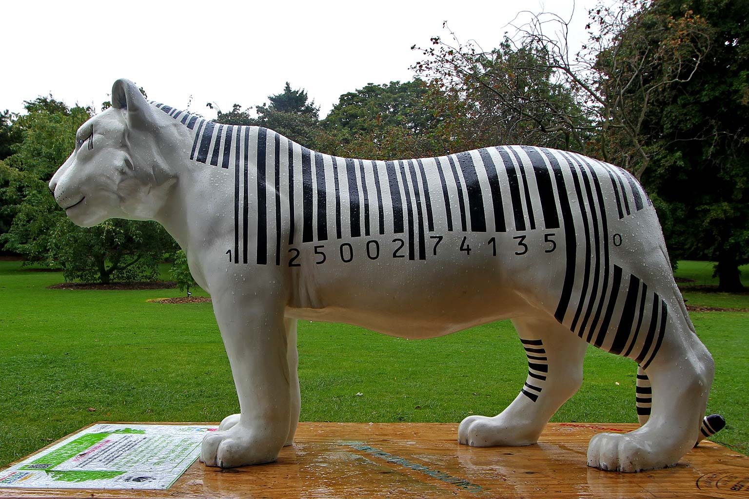 Jungle City Exhibition at Royal Botanic Garden, Edinburgh  -  August 2011