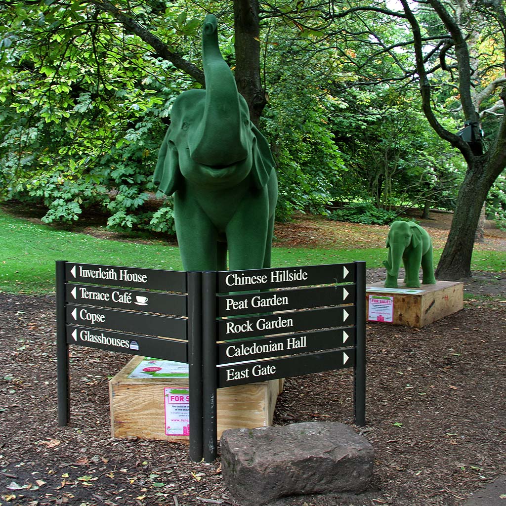 Jungle City Exhibition at Royal Botanic Garden, Edinburgh  -  August 2011