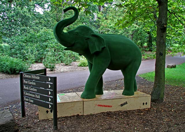 Jungle City Exhibition at Royal Botanic Garden, Edinburgh  -  August 2011