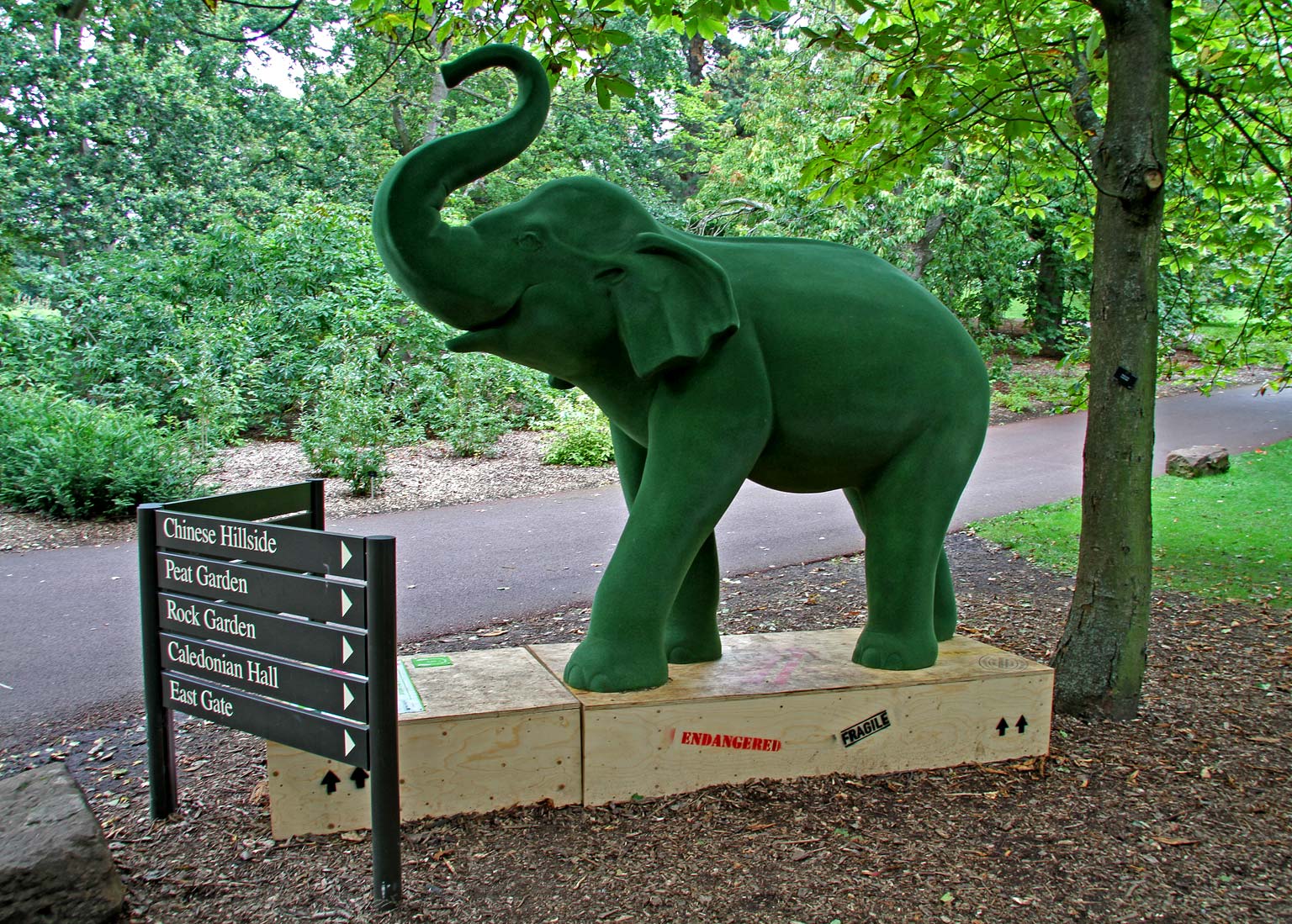 Jungle City Exhibition at Royal Botanic Garden, Edinburgh - August 2011